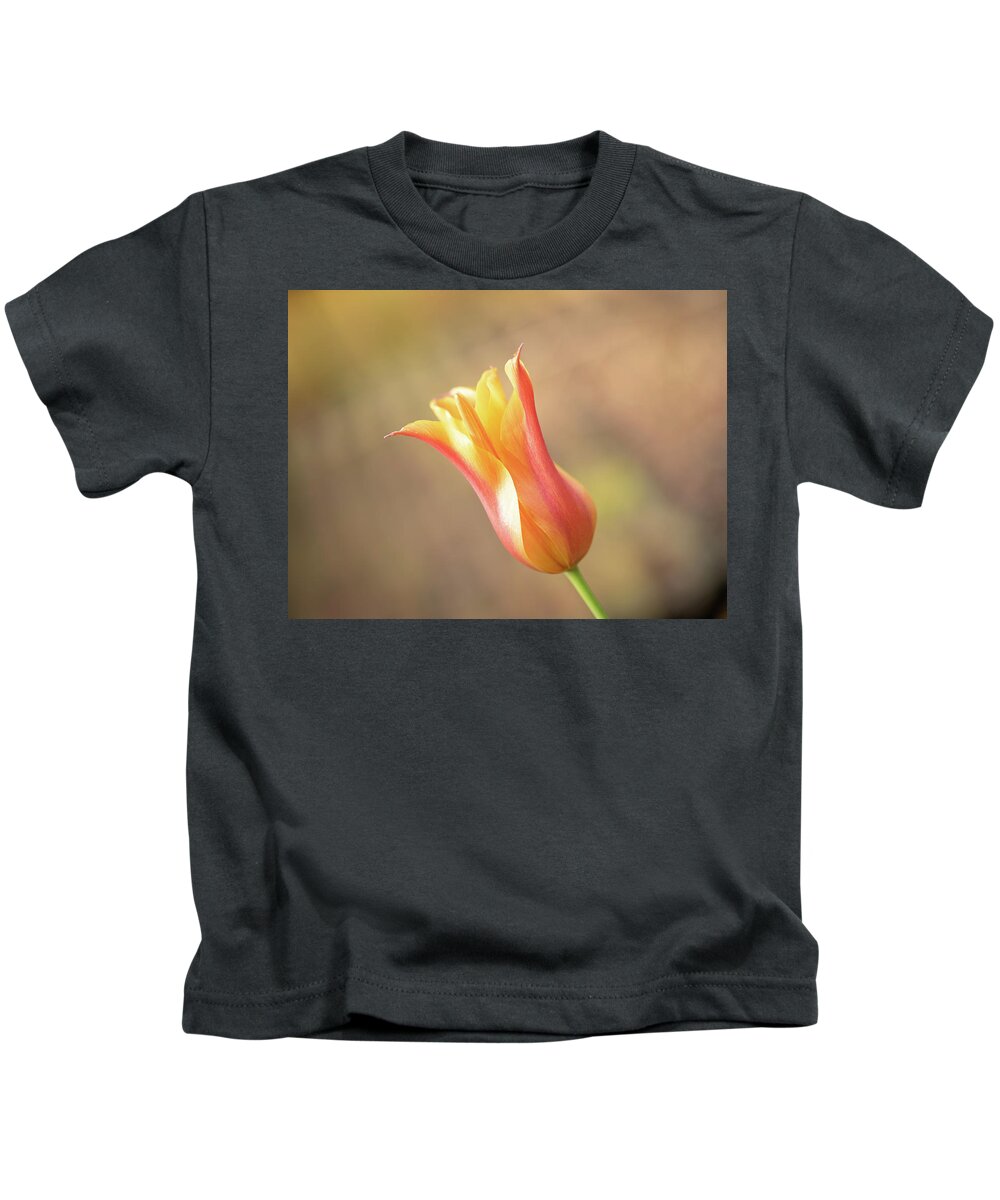 Spring Kids T-Shirt featuring the photograph Red and yellow tulip by Average Images