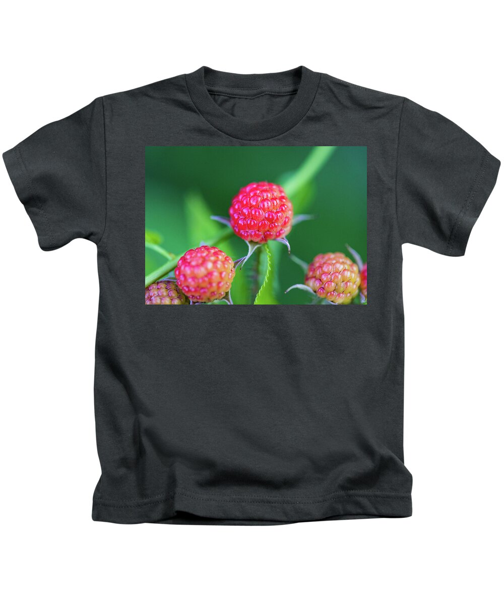 Fruit Kids T-Shirt featuring the photograph Red Berry Bush by Amelia Pearn