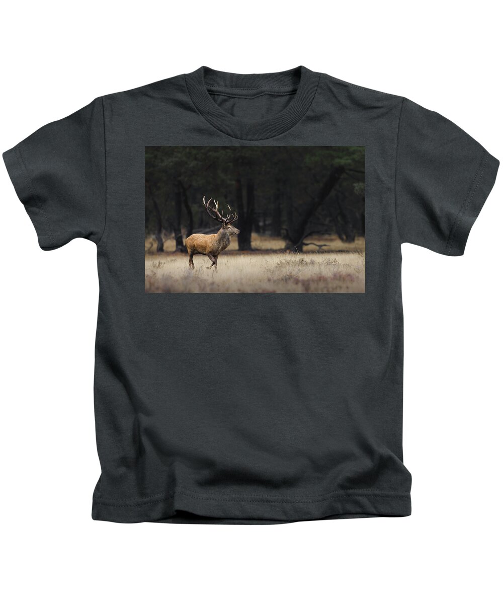 Forest Kids T-Shirt featuring the photograph Red deer in the rain. by Patrick Van Os