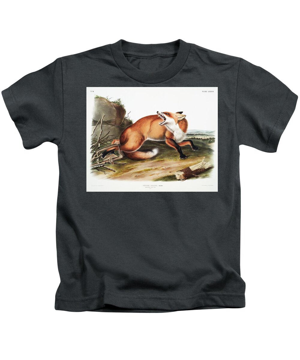 America Kids T-Shirt featuring the mixed media Red Fox. John Woodhouse Audubon Illustration by World Art Collective