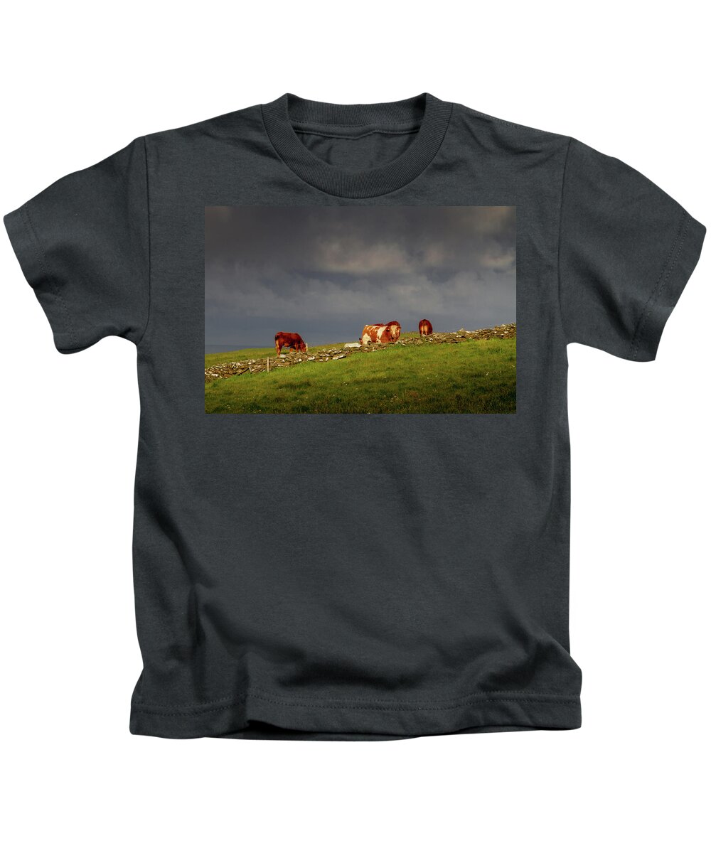 Red Cow Kids T-Shirt featuring the photograph Red on the Horizon by Mark Callanan