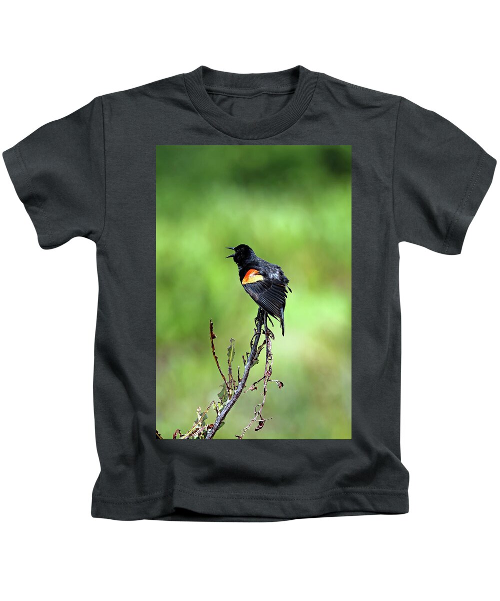 Florida Kids T-Shirt featuring the photograph Red Wing Singing by Jennifer Robin