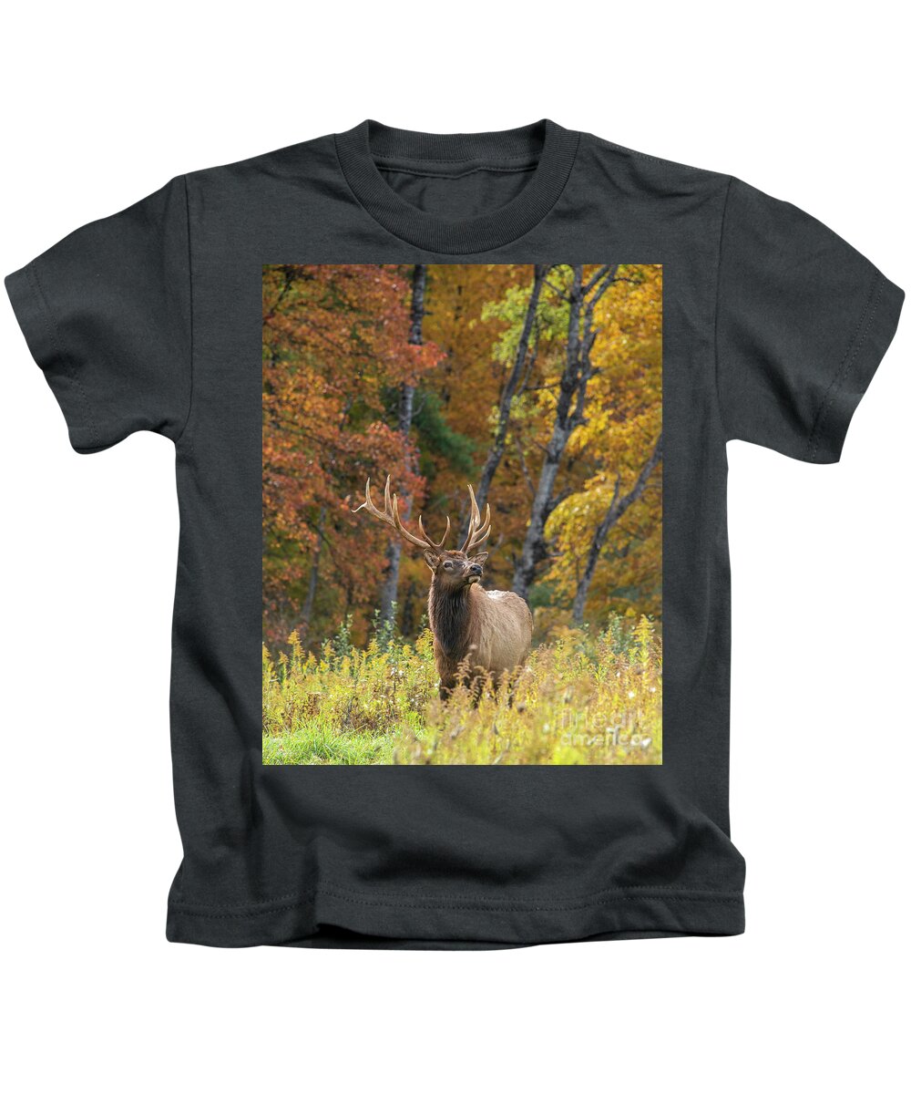 Elk Kids T-Shirt featuring the photograph Regal Bull Elk by Jane Axman