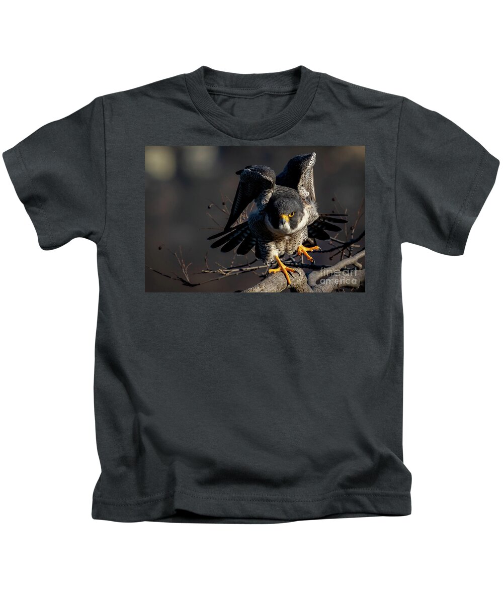 Falcon Kids T-Shirt featuring the photograph Rise Up by Alyssa Tumale