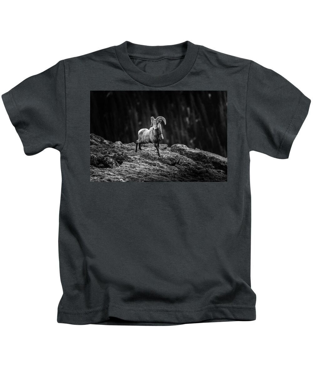 Rocky Mountain Bighorn Ram Kids T-Shirt featuring the photograph Rocky Mountain Bighorn Ram by Dan Sproul