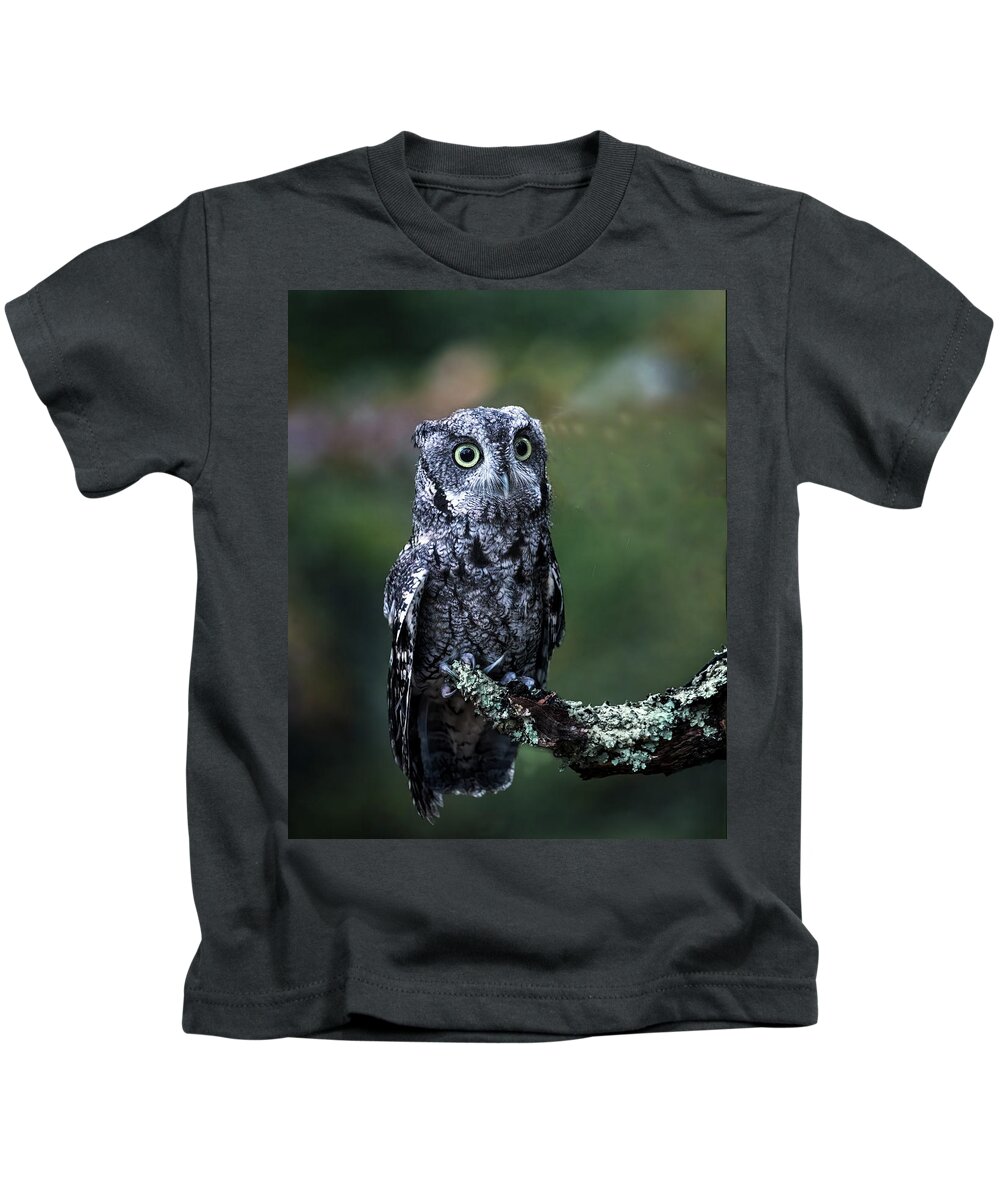 Screech Owl Kids T-Shirt featuring the photograph Screech Owl Beauty by Jaki Miller