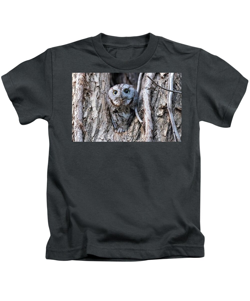 Screech Owl Kids T-Shirt featuring the photograph Screech owl - Time to Takeoff by Puttaswamy Ravishankar