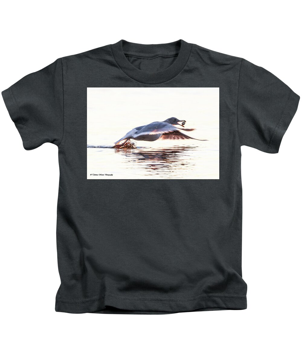 Seagull Kids T-Shirt featuring the photograph Seagull in flight by Tahmina Watson
