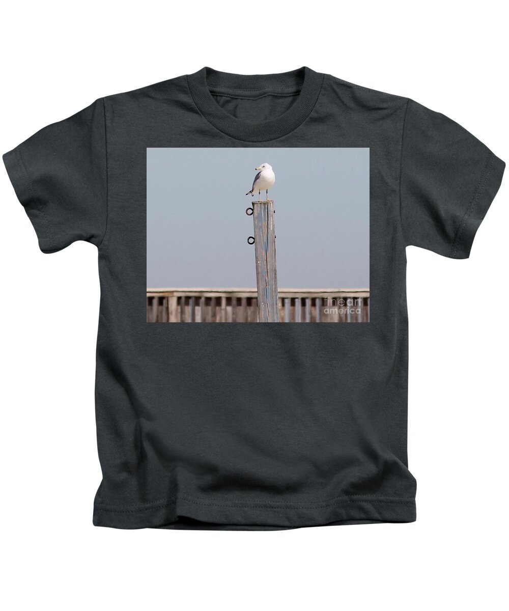 Seagull Kids T-Shirt featuring the photograph Seagull Sunning by Catherine Wilson