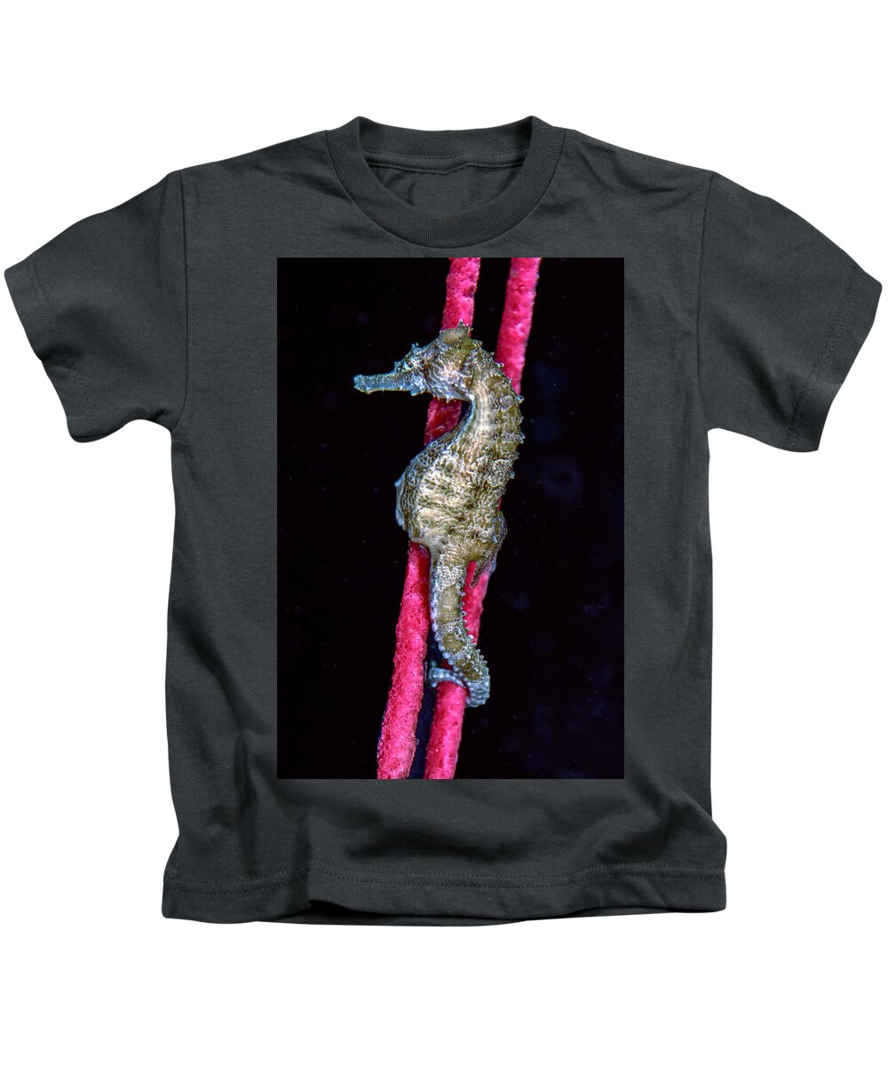 Lined Seahorse Kids T-Shirt featuring the photograph Seahorse on Gorgonian Coral by WAZgriffin Digital