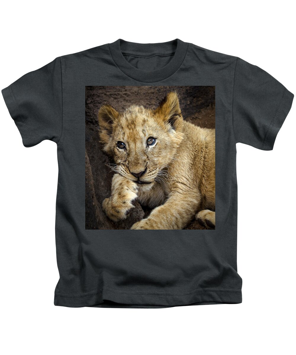 Lion Kids T-Shirt featuring the photograph Sleepy Lion Cub by Linda Villers