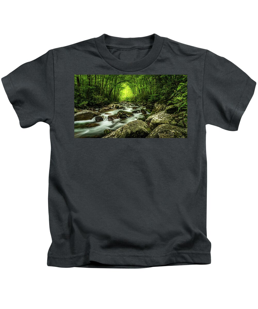 Big Creek Kids T-Shirt featuring the photograph Smoky Mountain Dream by Darrell DeRosia