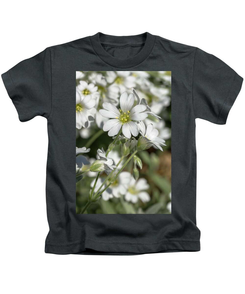 Flower Kids T-Shirt featuring the photograph Snow-in-Summer by Dawn Cavalieri