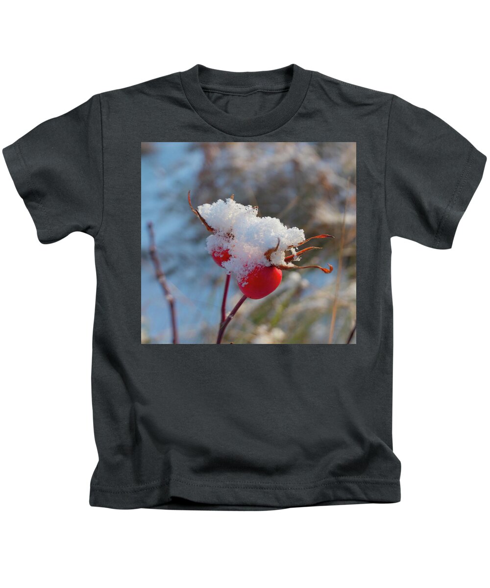 Rose Hips Kids T-Shirt featuring the photograph Snow On Rose Hips by Karen Rispin