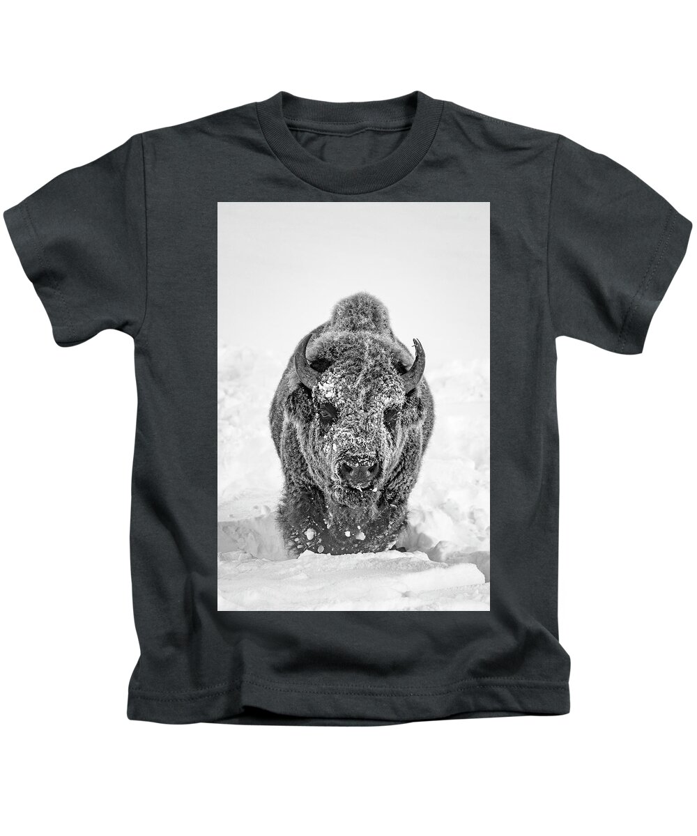 Bison Kids T-Shirt featuring the photograph Snowy Bison by D Robert Franz