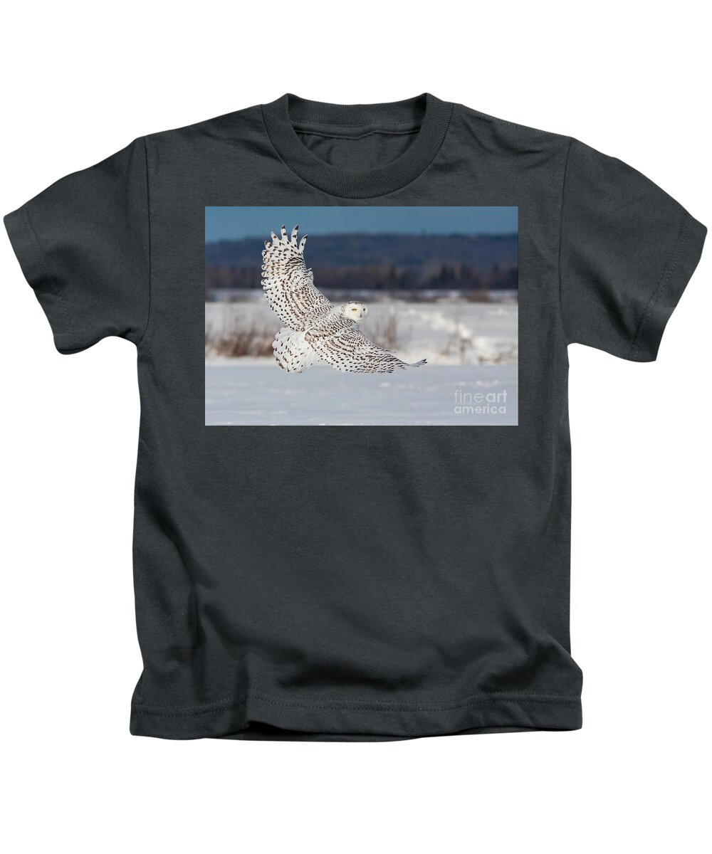 Art Kids T-Shirt featuring the photograph Snowy Owl in flight by Mircea Costina Photography