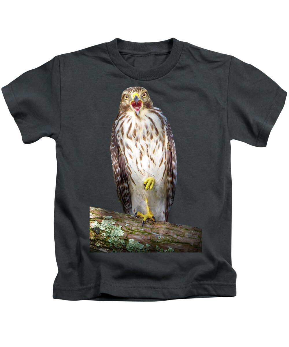 Red Shouldered Hawk Kids T-Shirt featuring the photograph Song of the Hawk by Mark Andrew Thomas