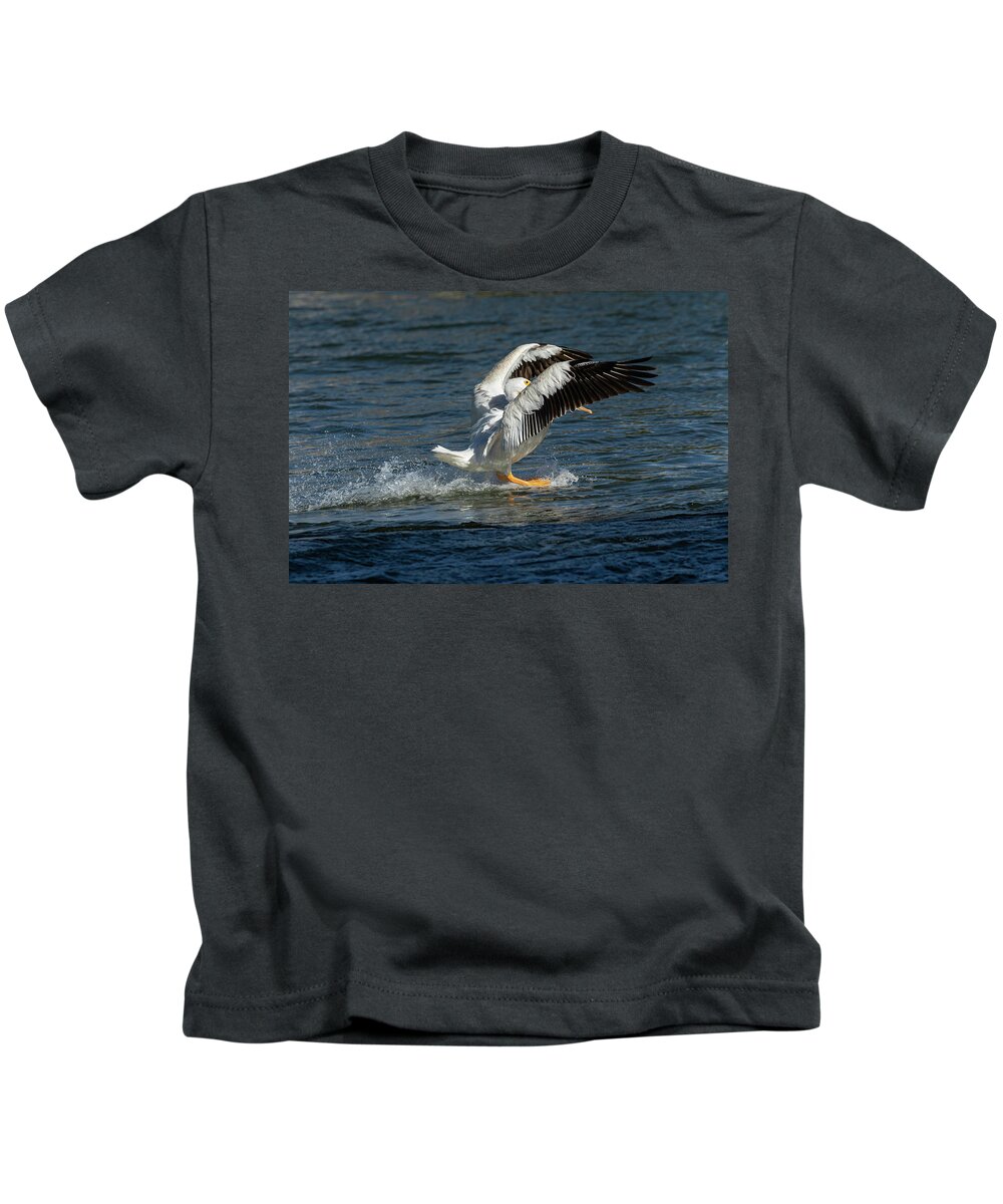 American White Pelican Kids T-Shirt featuring the photograph Splash Down 2016 by Thomas Young