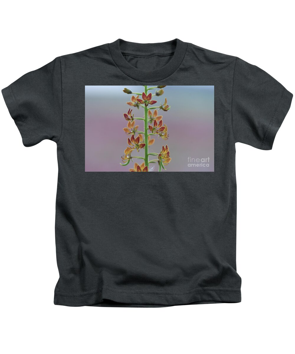 Beauty In Nature Kids T-Shirt featuring the drawing Spring Bloom in the desert q1 by Yotam Jacobson