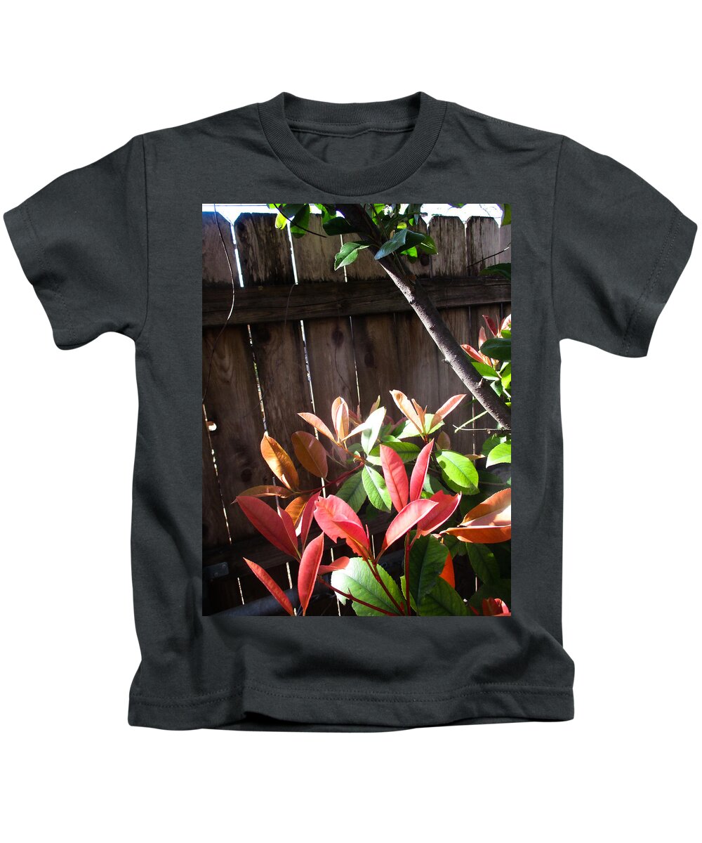 Photinia Kids T-Shirt featuring the photograph Spring Photinia in the Sun by W Craig Photography