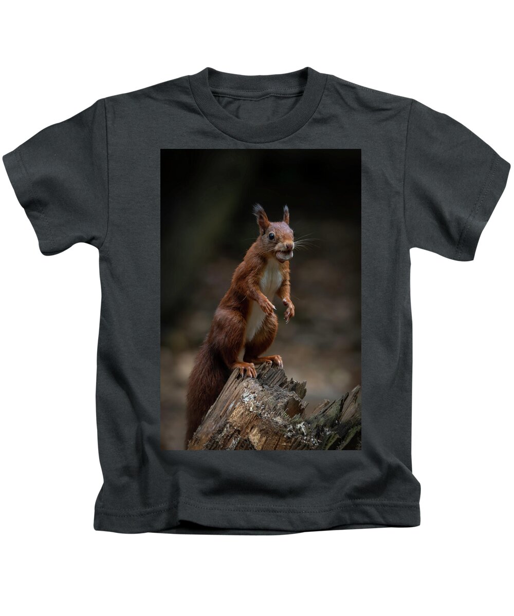 Squirrel Kids T-Shirt featuring the photograph Squirrel collecting and hiding nuts by Marjolein Van Middelkoop