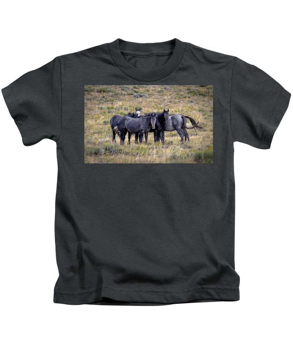 Horse Kids T-Shirt featuring the photograph Stallions by Laura Terriere