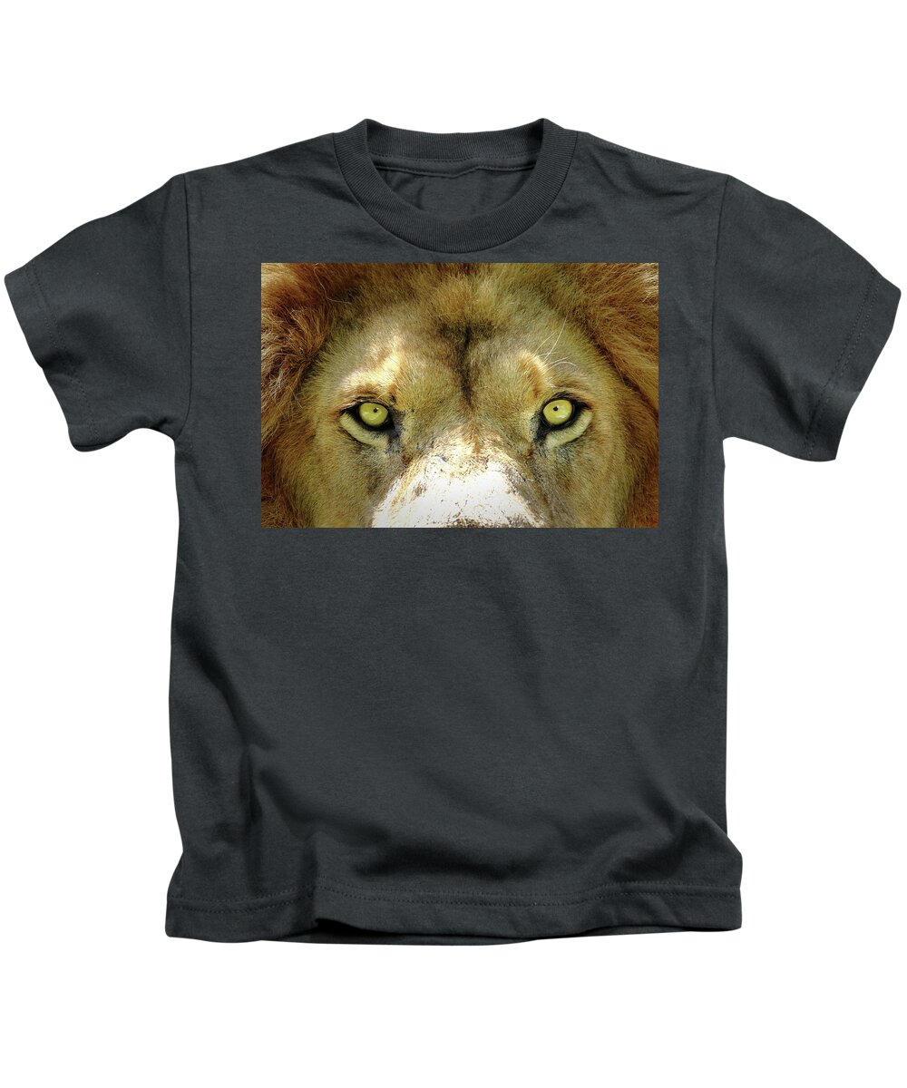 Lion Kids T-Shirt featuring the photograph Stare Down by Lens Art Photography By Larry Trager
