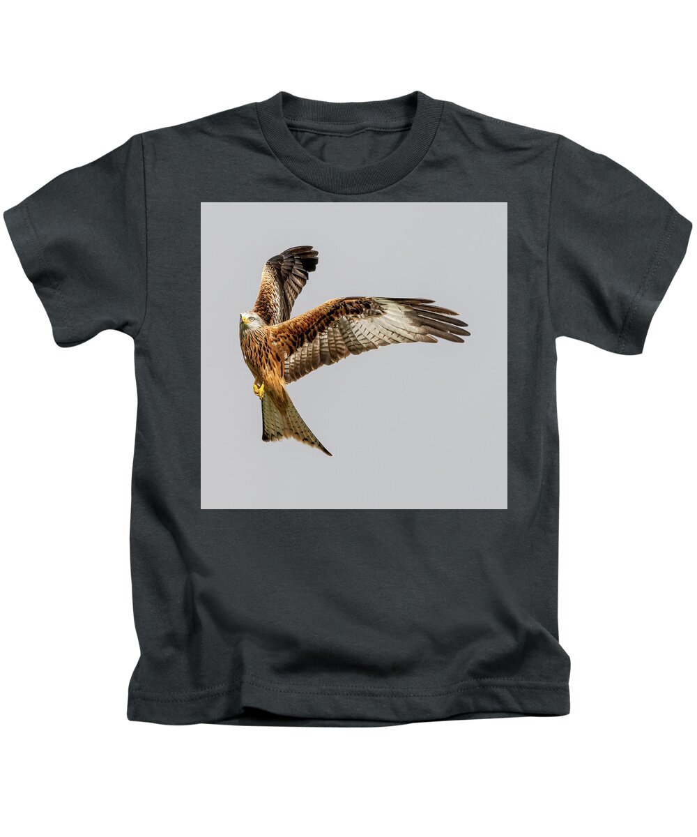 Red Kite Kids T-Shirt featuring the photograph Startled Red Kite by Mark Hunter