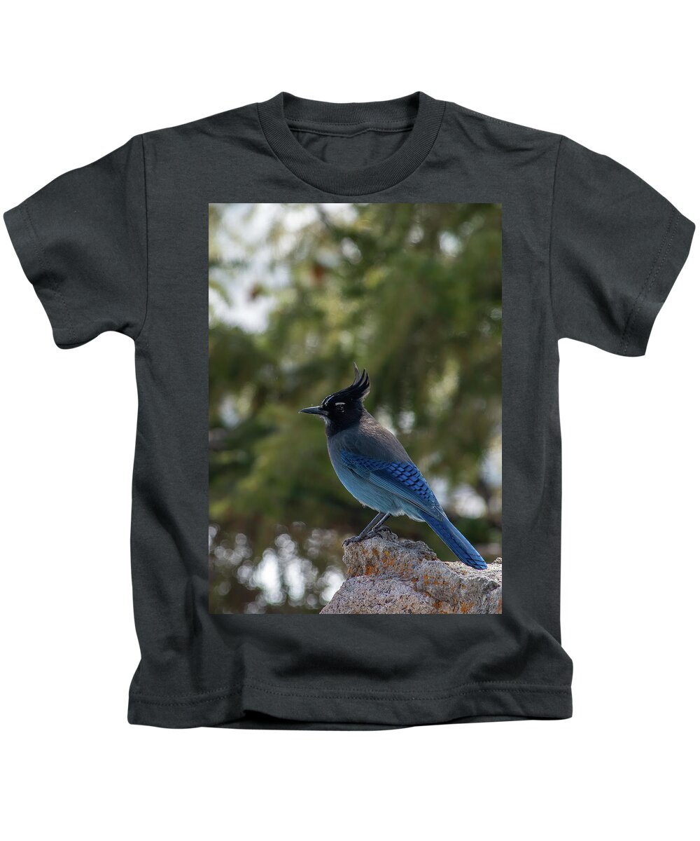 Mountain Jay Kids T-Shirt featuring the photograph Steller's Jay by Bitter Buffalo Photography