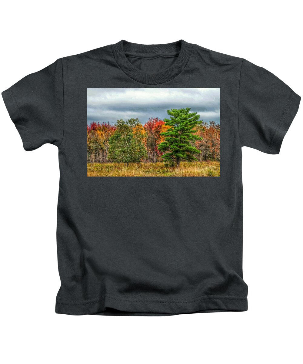 Fall Woods Tree New York Chicago Minneapolis Twin Cities St Paul Kids T-Shirt featuring the photograph Summer's End by Windshield Photography