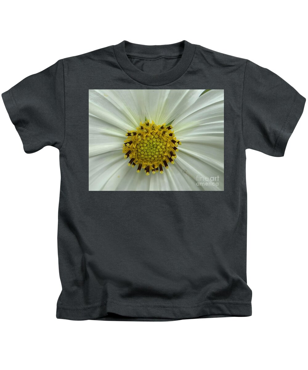 Sun-flower Kids T-Shirt featuring the photograph Sun Flowers in White by Catherine Wilson