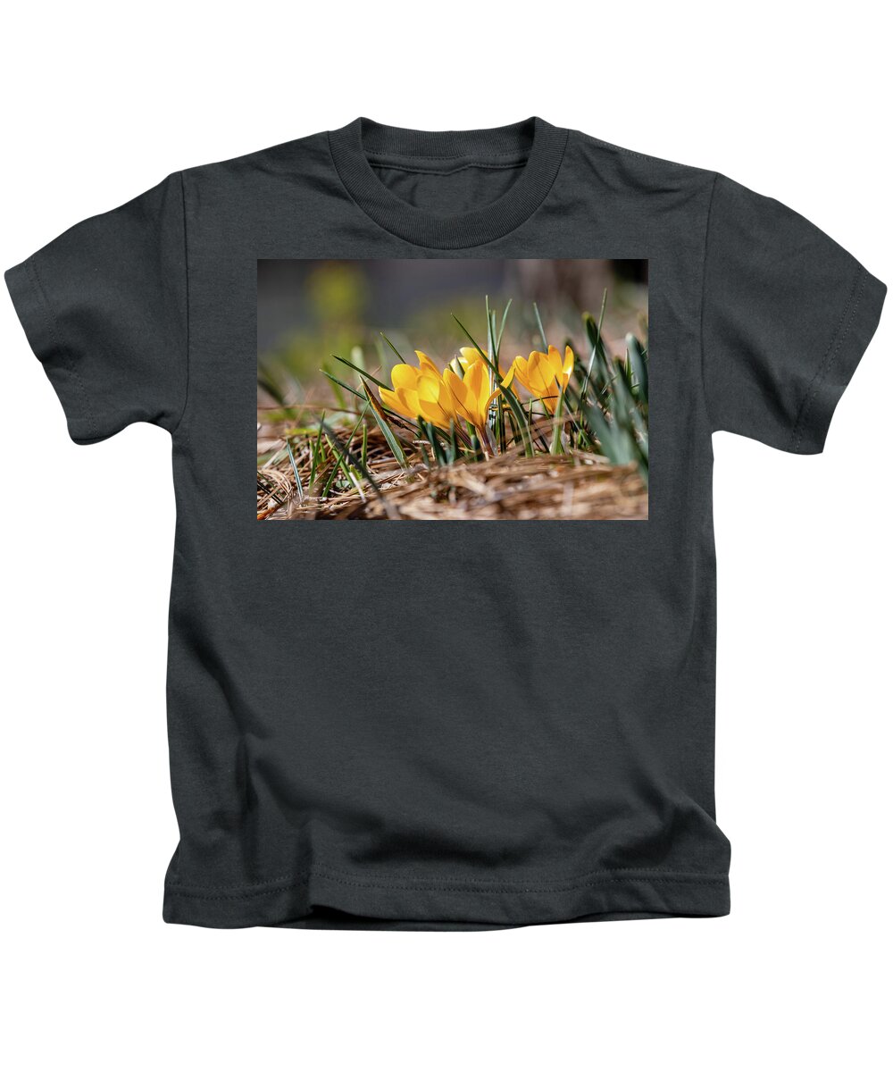 Crocus Kids T-Shirt featuring the photograph Sunny Yellow Crocuses by Lara Morrison