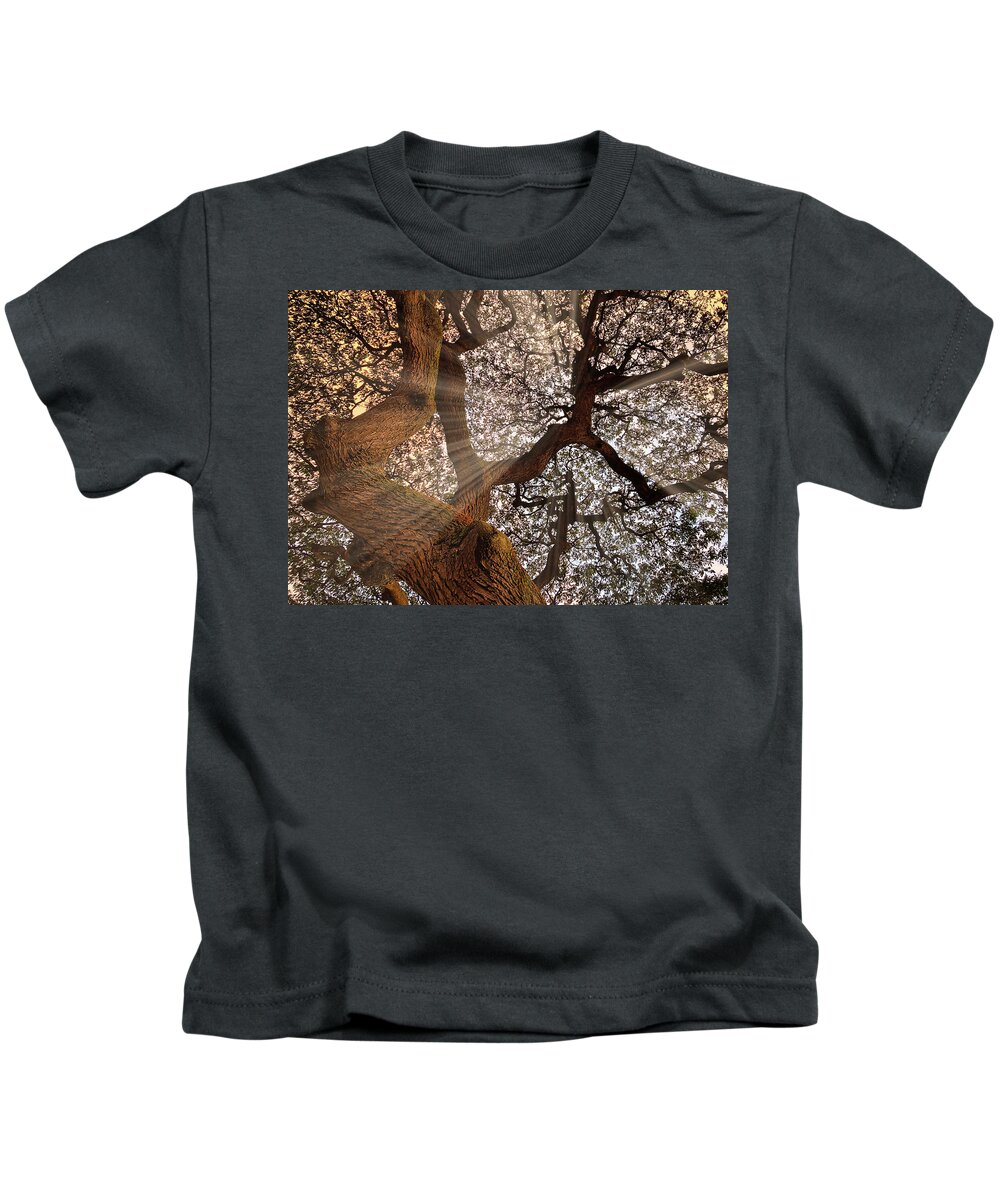 Tree Kids T-Shirt featuring the photograph Sunrays by Christopher Johnson