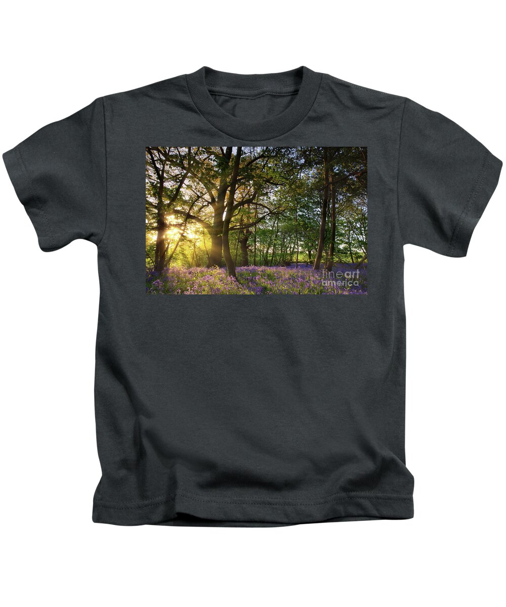 Bluebell Forest Kids T-Shirt featuring the photograph Sunrise in bluebell woods in Norfolk UK by Simon Bratt