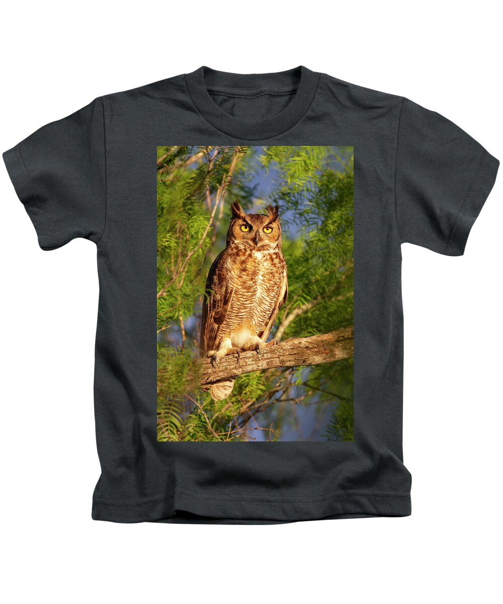Owl Kids T-Shirt featuring the photograph Sunrise Owl by D Robert Franz