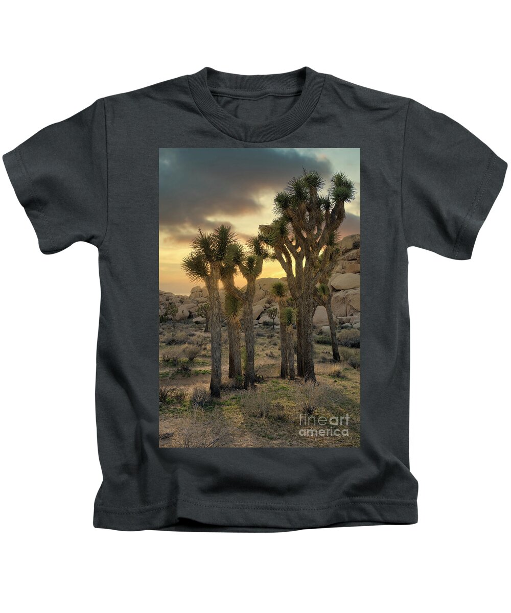 Southwest Kids T-Shirt featuring the photograph Sunset Glory - Joshua Tree National Park by Sandra Bronstein