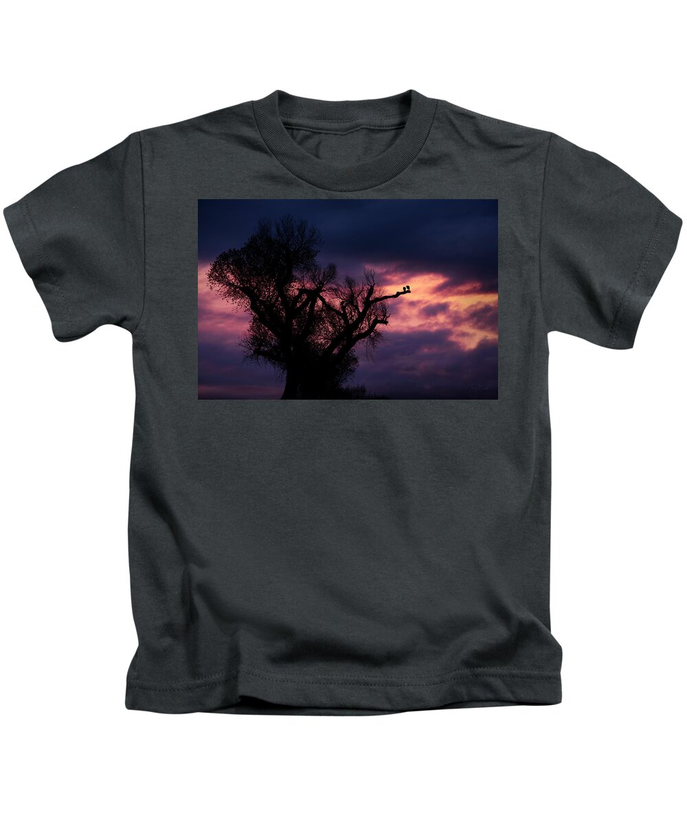 Animals Kids T-Shirt featuring the photograph Sunset Vultures by James Covello