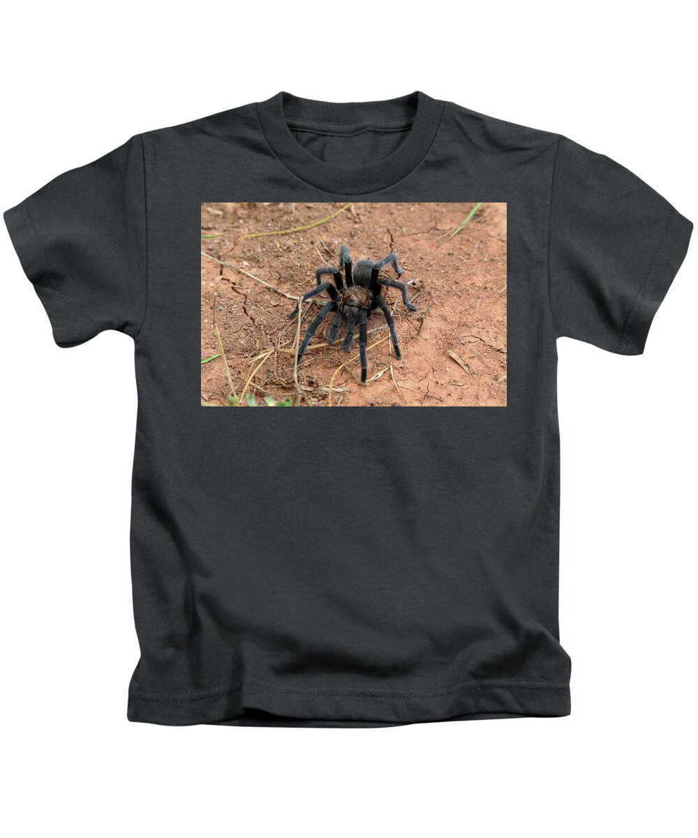 Tarantula Kids T-Shirt featuring the photograph Tarantula by Steve Templeton