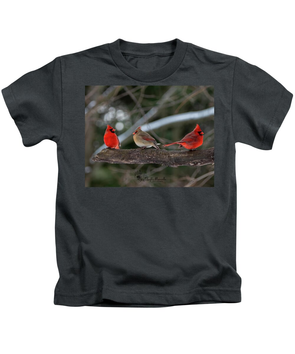 Cardinal Kids T-Shirt featuring the photograph The College of Cardinals by Regina Muscarella