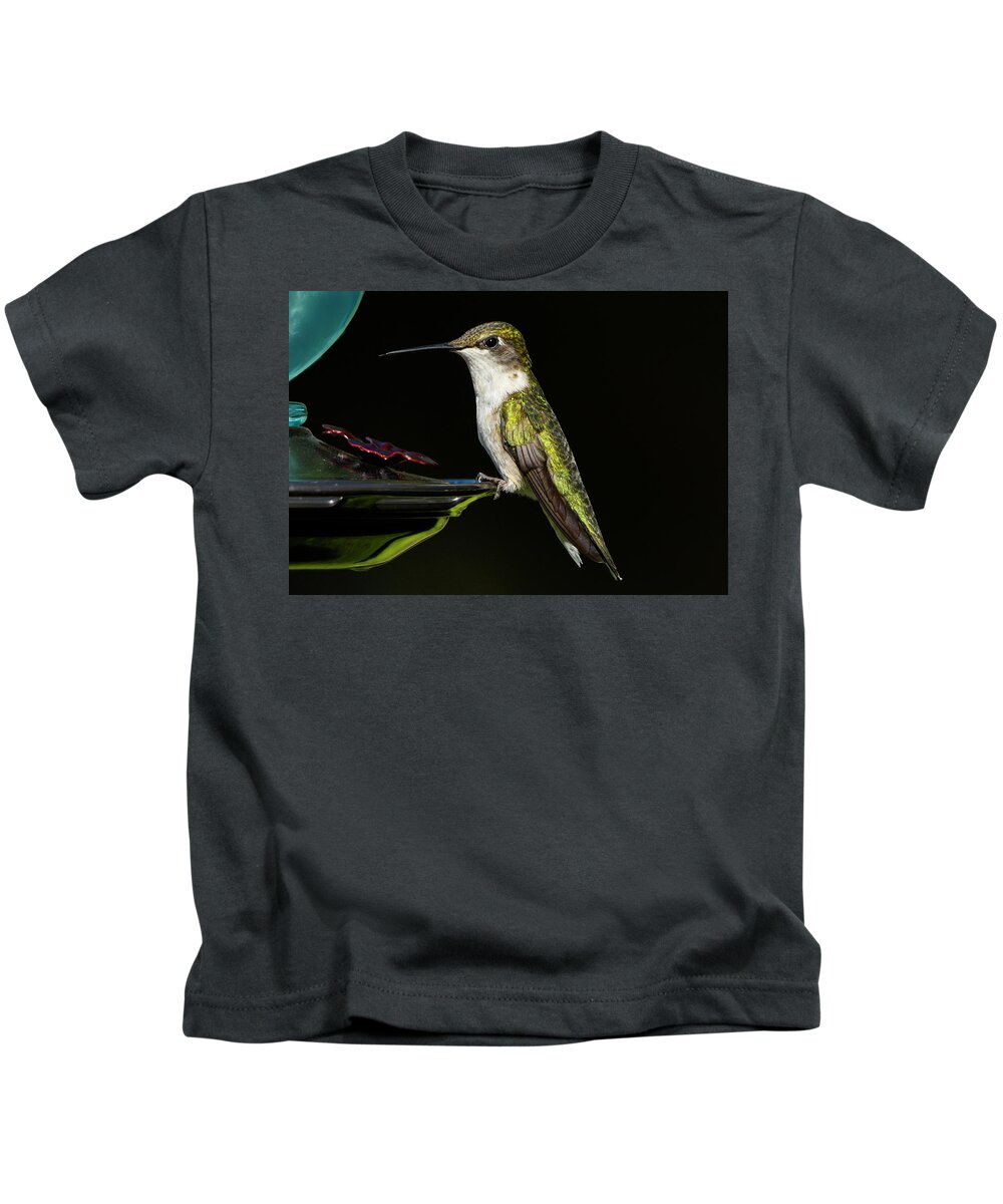 August Kids T-Shirt featuring the photograph The Female Ruby Throated Hummingbird Portrait by Sandra J's