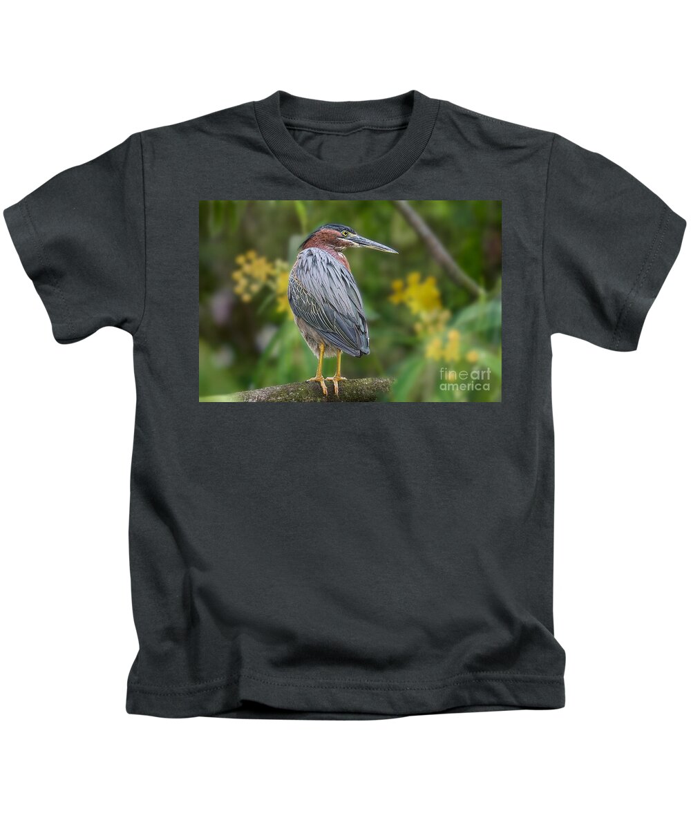 Birds Kids T-Shirt featuring the painting The Green Heron and Orchids by Judy Kay