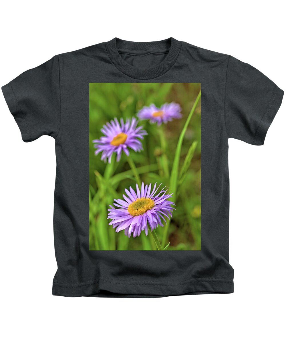 Asters Kids T-Shirt featuring the photograph Three Asters by Bob Falcone