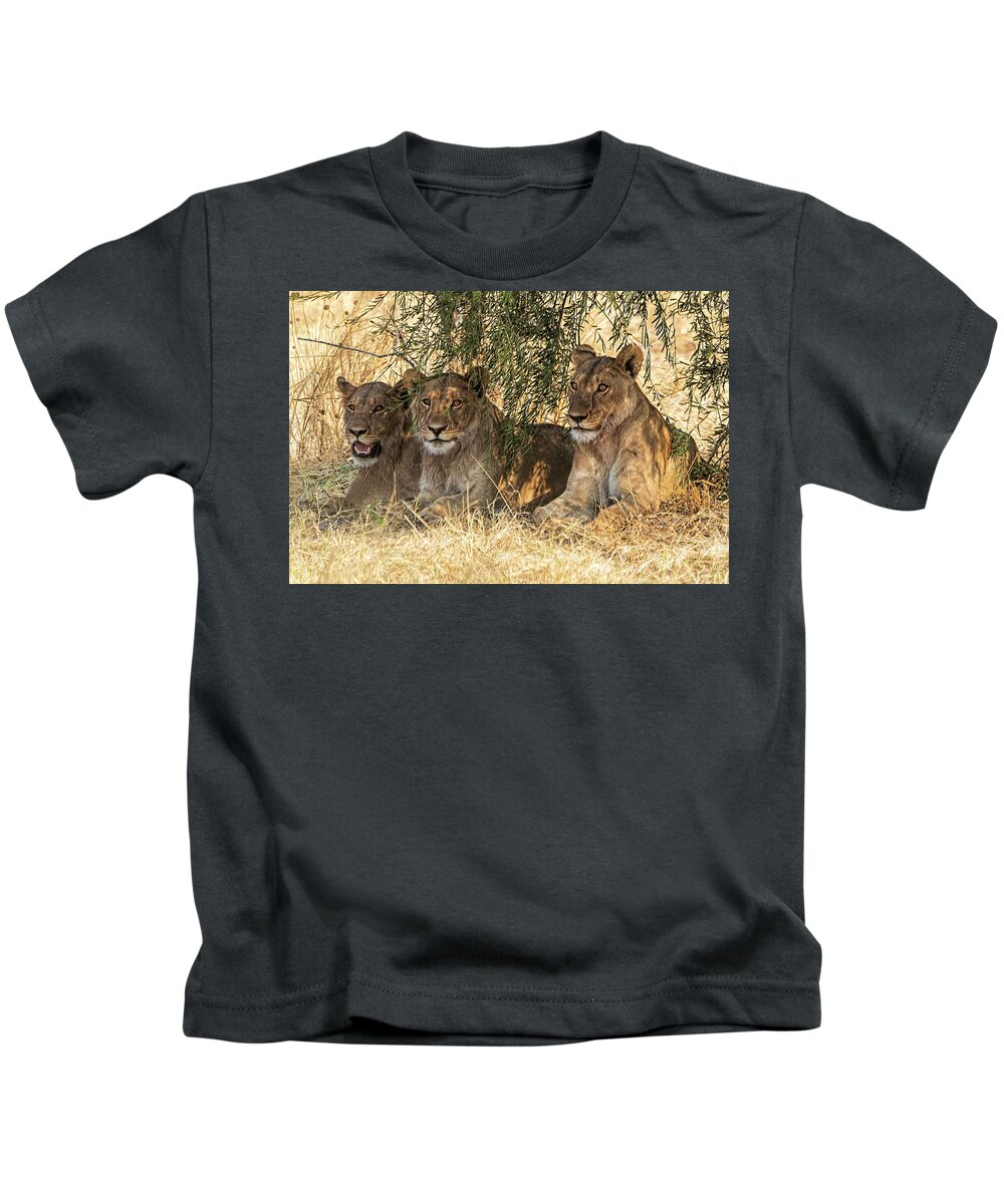 Africa Kids T-Shirt featuring the photograph Three Young Lions by Betty Eich