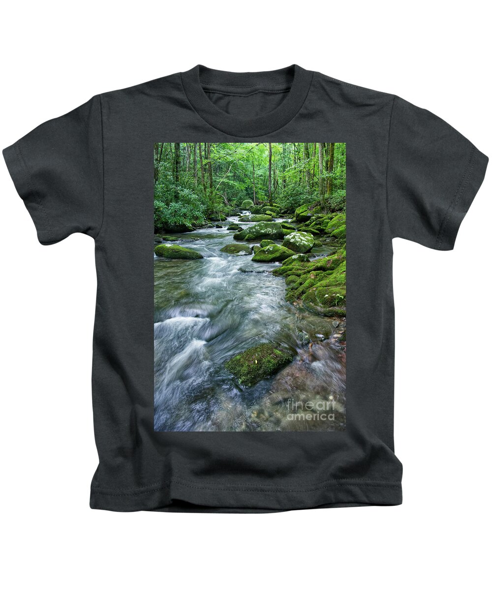 Smoky Mountains Kids T-Shirt featuring the photograph Thunderhead Prong 19 by Phil Perkins