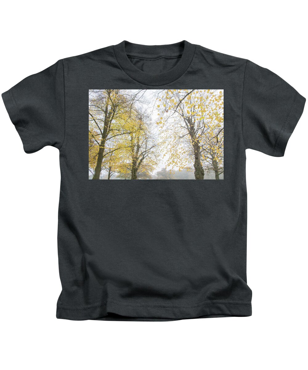Trent Park Kids T-Shirt featuring the photograph Trent Park Trees Fall 14 by Edmund Peston