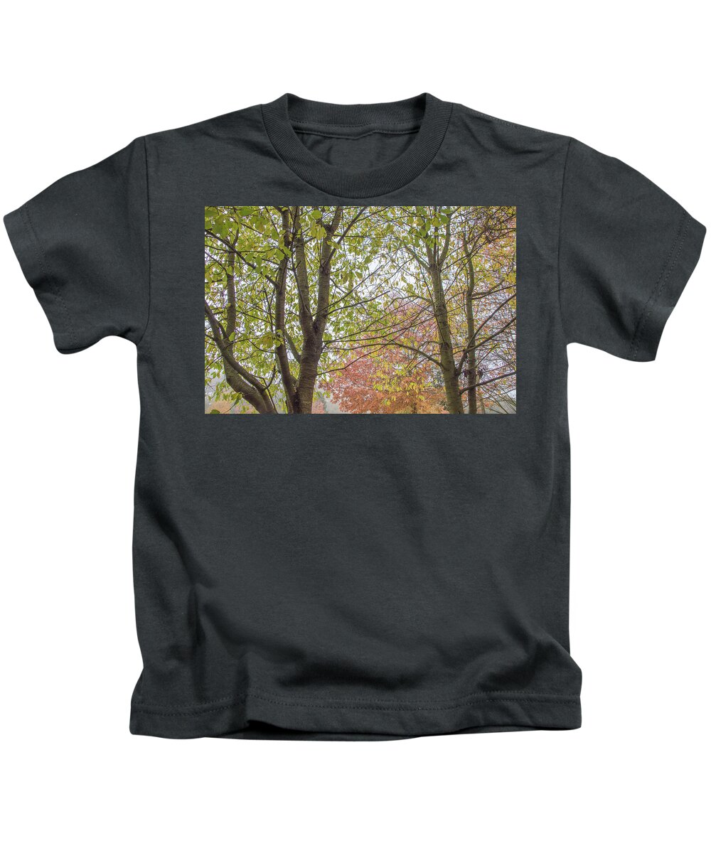 Trent Park Kids T-Shirt featuring the photograph Trent Park Trees Fall 5 by Edmund Peston