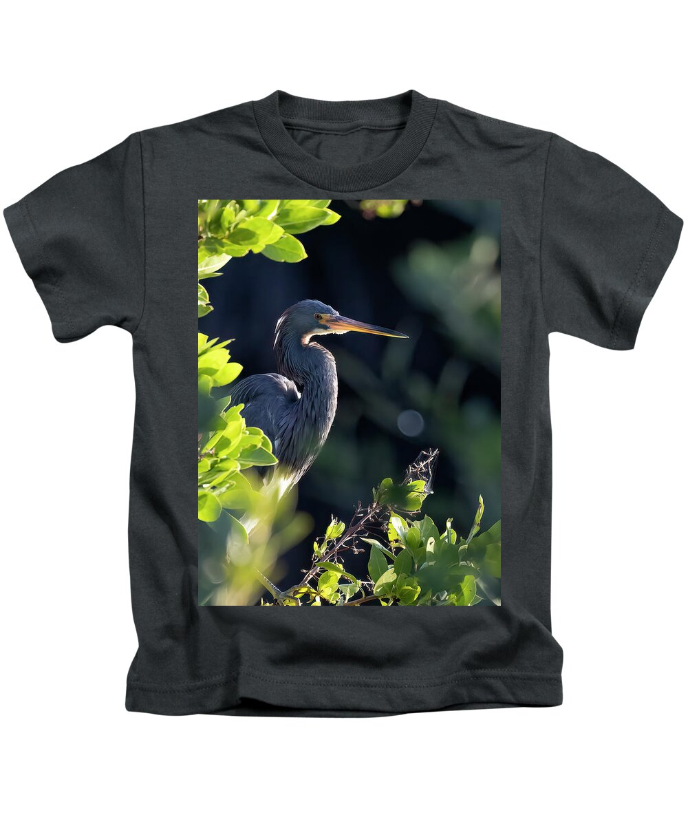 Tri-colored Heron Kids T-Shirt featuring the photograph Tri-Colored Heron in Morning Sun 1 by RD Allen
