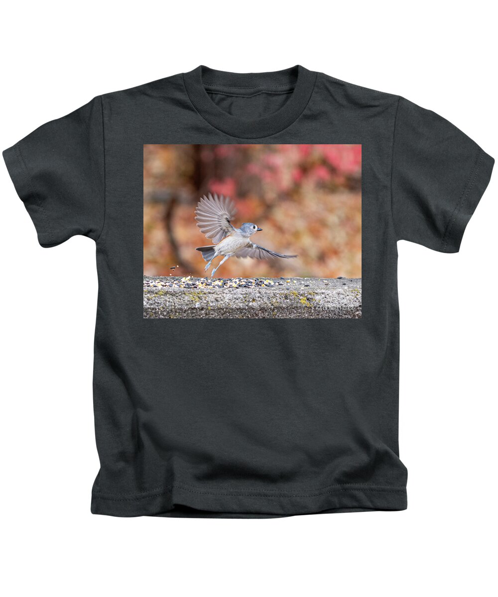  Little Gray Bird Kids T-Shirt featuring the photograph Tufted Titmouse in Flight by Ilene Hoffman