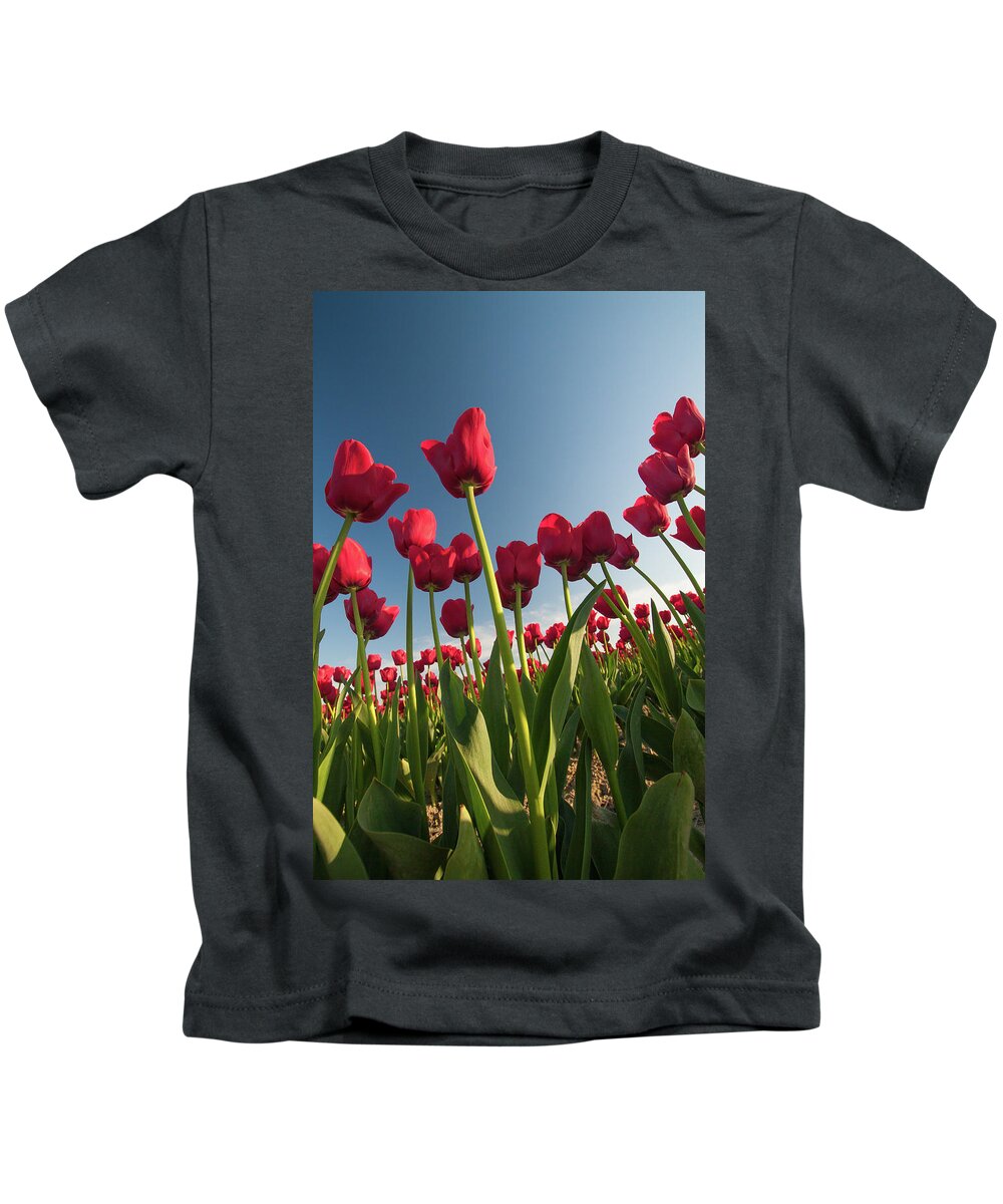 Tulips Kids T-Shirt featuring the photograph Tulips Looking Up by Michael Rauwolf