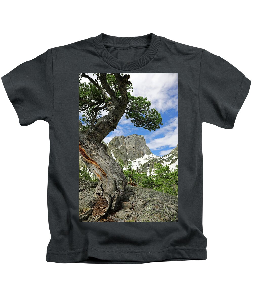 Twisted Tree Hallett Peak Kids T-Shirt featuring the photograph Twisted Tree Hallett Peak by Dan Sproul